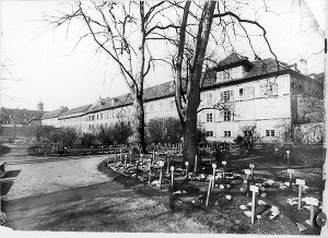 Auf einem Foto vor dem Jahr 1889 sieht man im Hintergrund das Gebäude des Joanneum, auf einem Platz davor stehen zwei Bäume im Vordergrund sind Pflanzen, die mit Kärtchen beschriftet sind