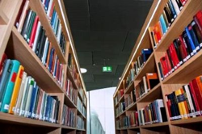 Freihandbereich8