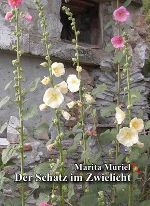 Buchcover © SoralPro Verlag