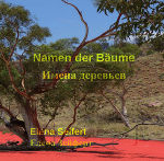 Buchcover © SoralPro Verlag