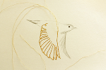 Bird Notes © Gschiel